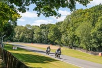 brands-hatch-photographs;brands-no-limits-trackday;cadwell-trackday-photographs;enduro-digital-images;event-digital-images;eventdigitalimages;no-limits-trackdays;peter-wileman-photography;racing-digital-images;trackday-digital-images;trackday-photos